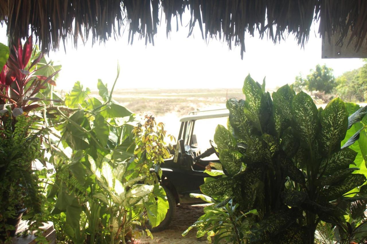 Villa Dunas Jeri Jericoacoara Extérieur photo
